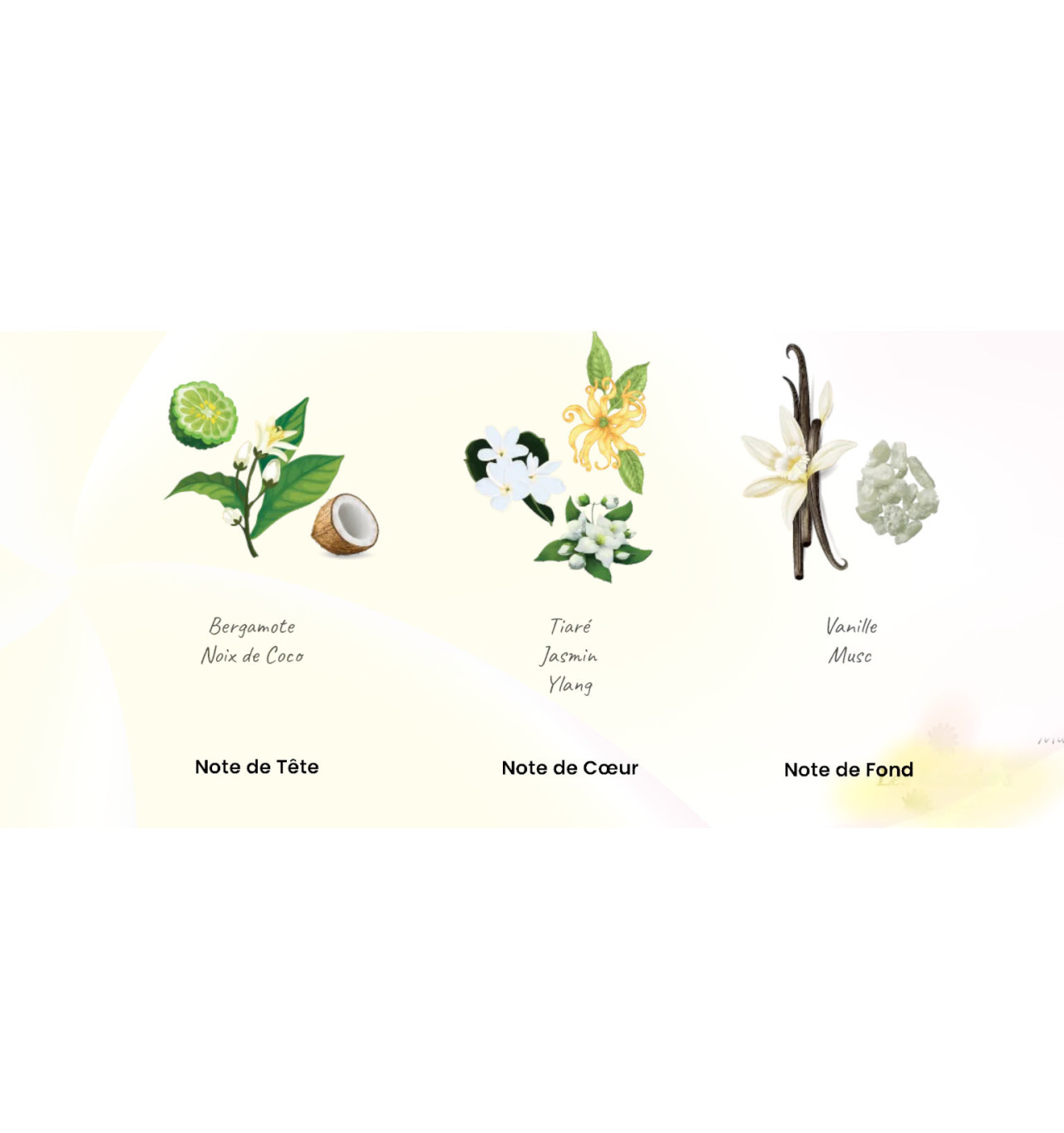 les-ecuadors-fleur-de-tiaré-eau-de-toilette-30ml-bijoux-totem