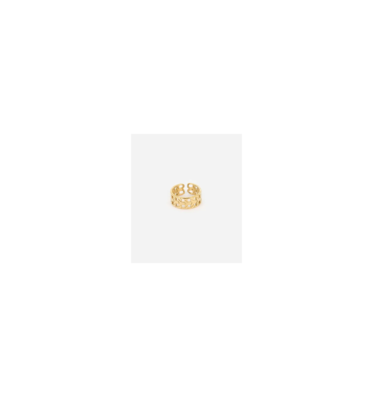 zag-bijoux-heri-bague-acier-ajustable-bijoux totem.