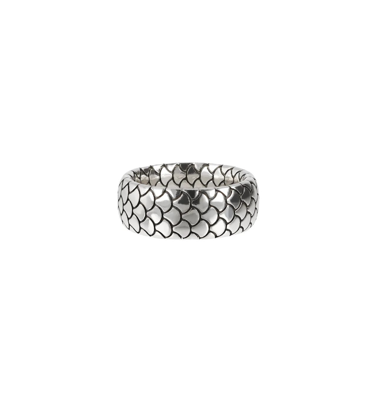 albert m-bague-homme-argent-bijoux totem