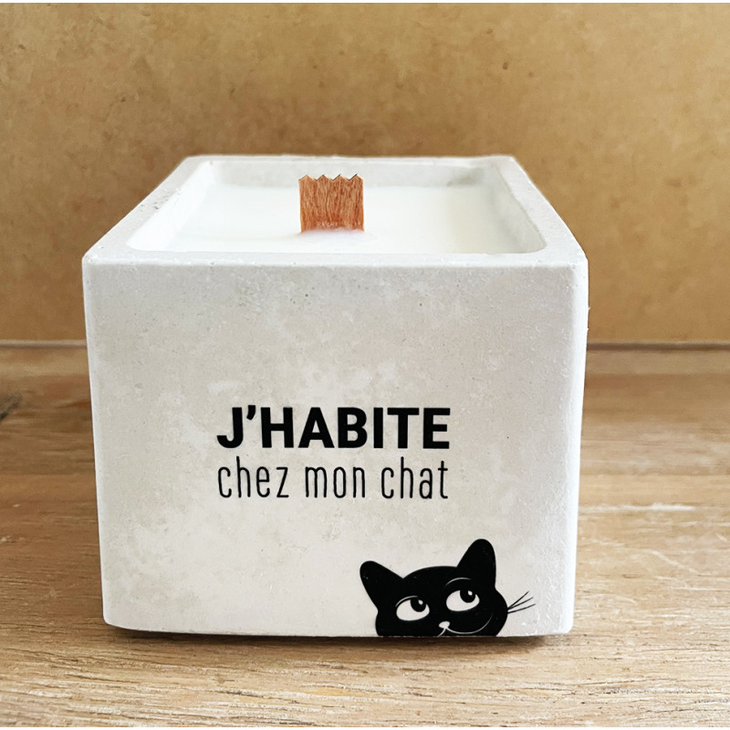 tout-est-dit-bougie-j’habitre-chez-mon-chat-150-grammes-bijoux-totem