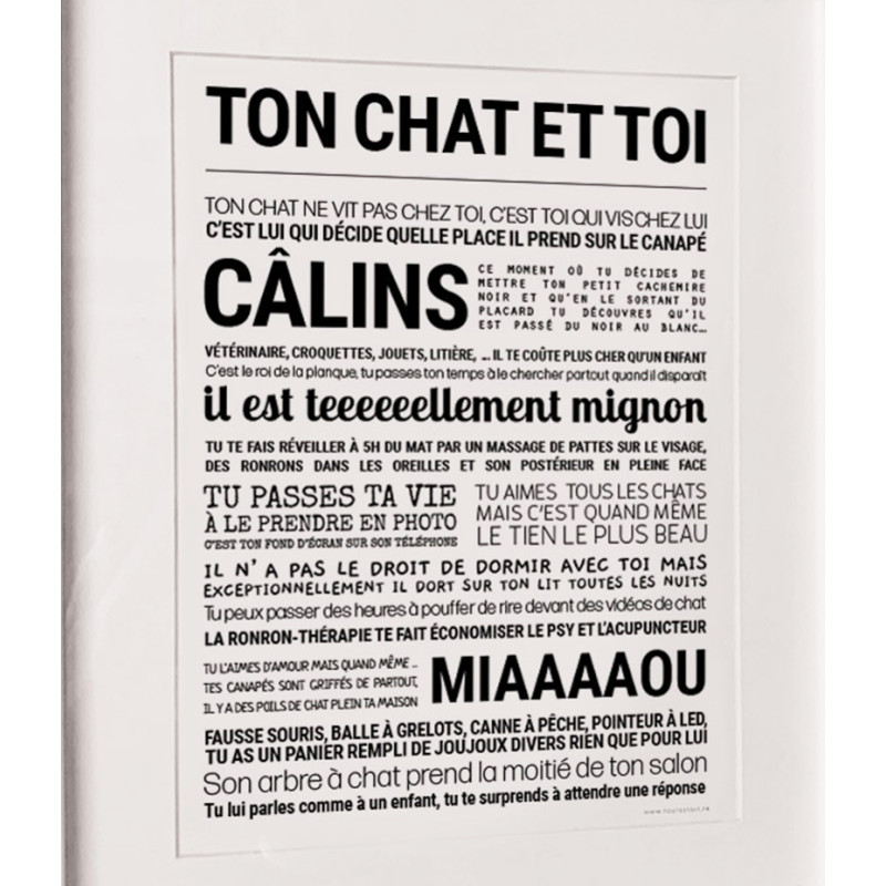 tout-est-dit-affiche-ton-chat-et-toi-bijoux-totem