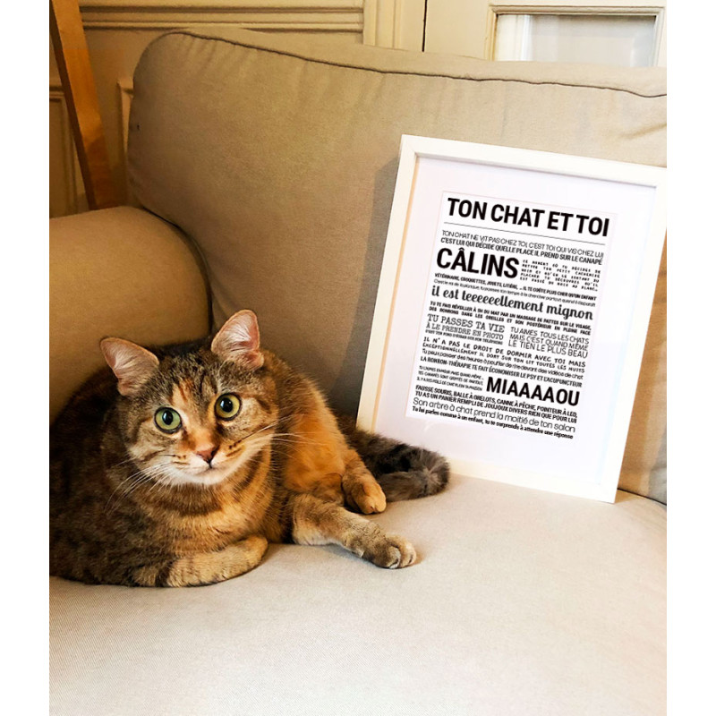 tout-est-dit-affiche-ton-chat-et-toi-bijoux-totem